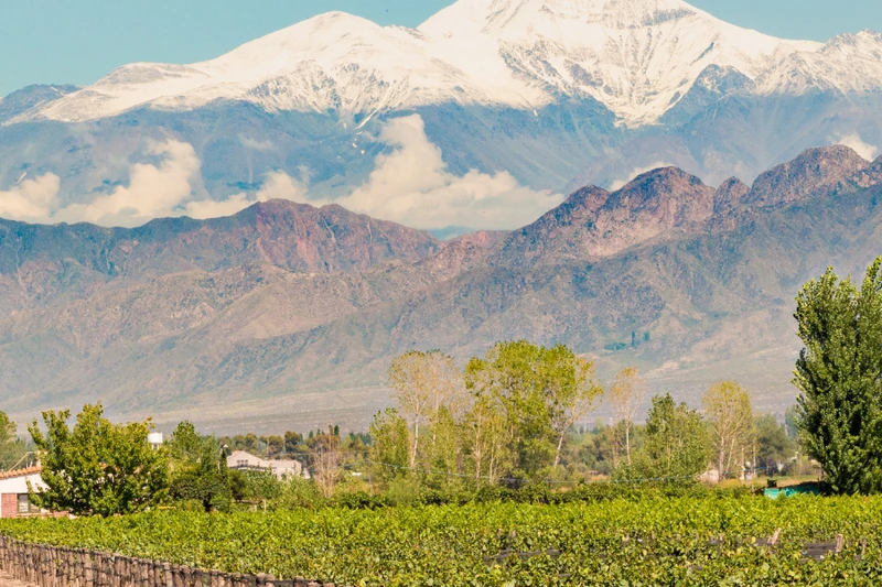 MENDOZA