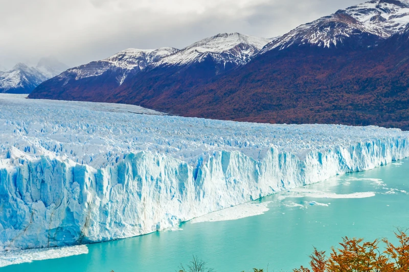 EL CALAFATE