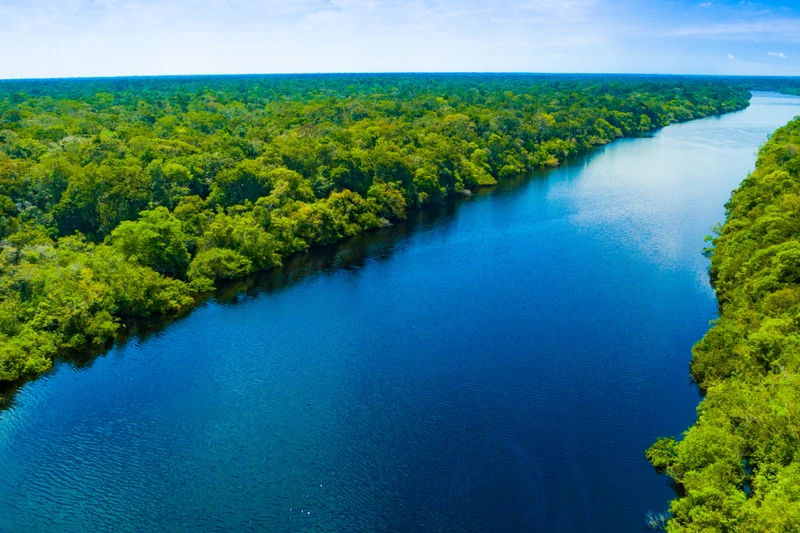 AMAZONAS/MANAUS