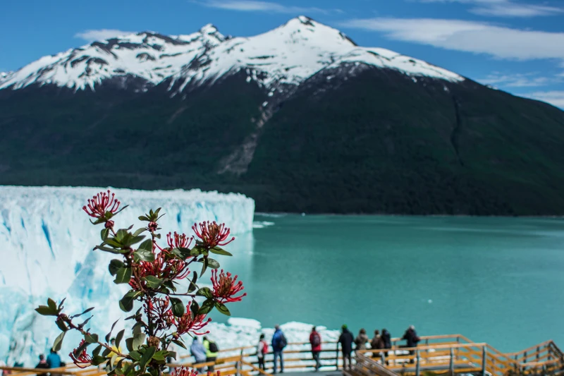 Grande Travessia Patagônica