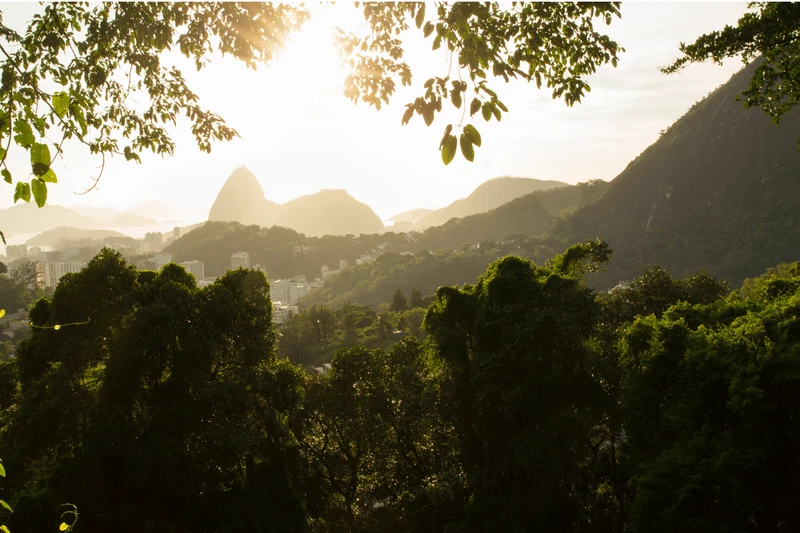 Tour Ecológico na Floresta da Tijuca com guia