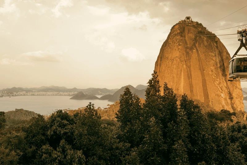 Pão de Açúcar com Acesso VIP e City Tour com Almoço com guia