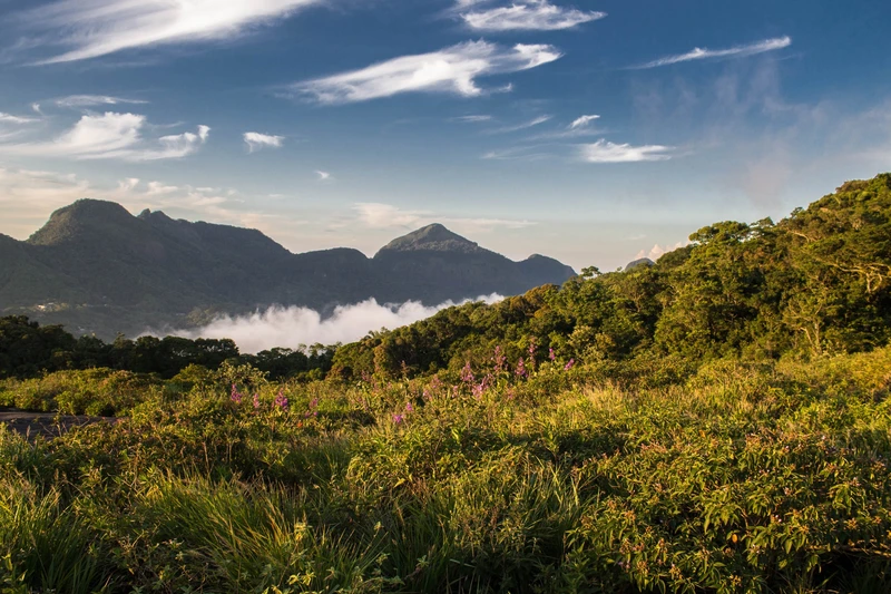 Excursão Ecológica à Pedra Bonita